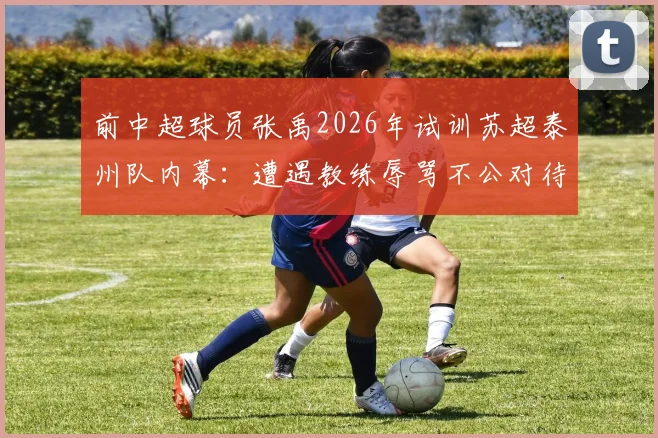 前中超球员张禹2026年试训苏超泰州队内幕：遭遇教练辱骂不公对待与真实情况说明